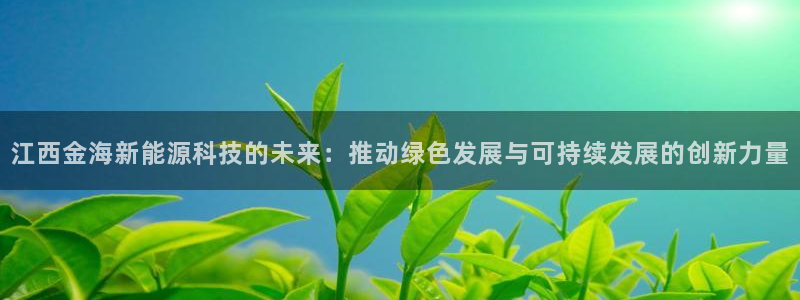 江西金海新能源科技的未来：推动绿色发展与可持续发展的创新力量