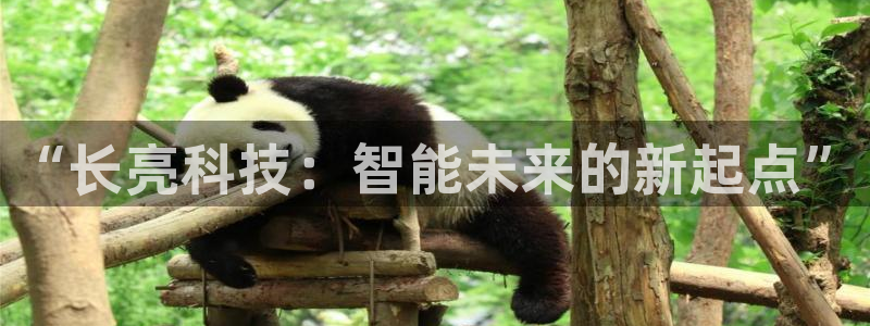 “长亮科技：智能未来的新起点”