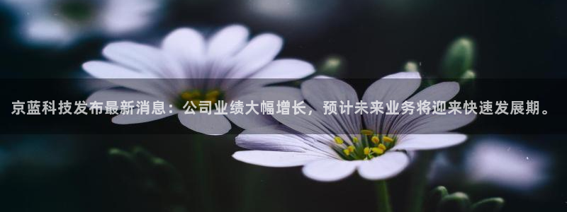 京蓝科技发布最新消息：公司业绩大幅增长，预计未来业务将迎来快速发展期。