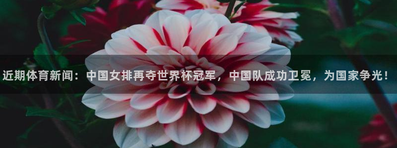 近期体育新闻：中国女排再夺世界杯冠军，中国队成功卫冕，为国家争光！