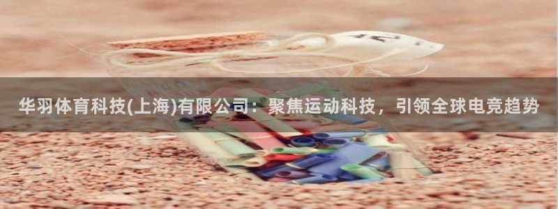 华羽体育科技(上海)有限公司：聚焦运动科技，引领全球电竞趋势