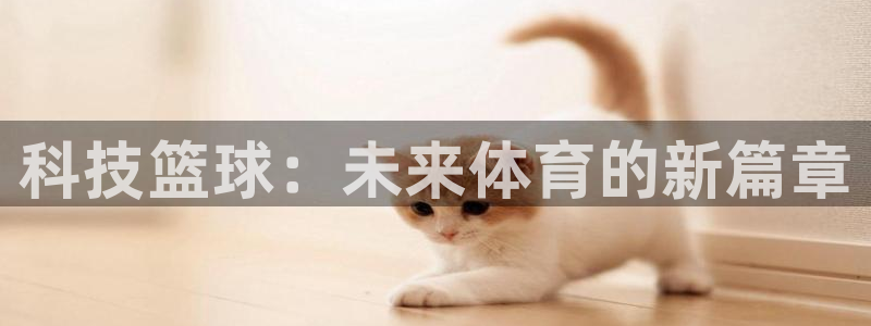 科技篮球：未来体育的新篇章